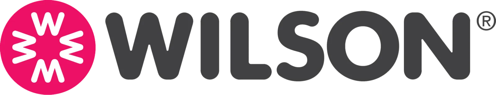 Partner agency